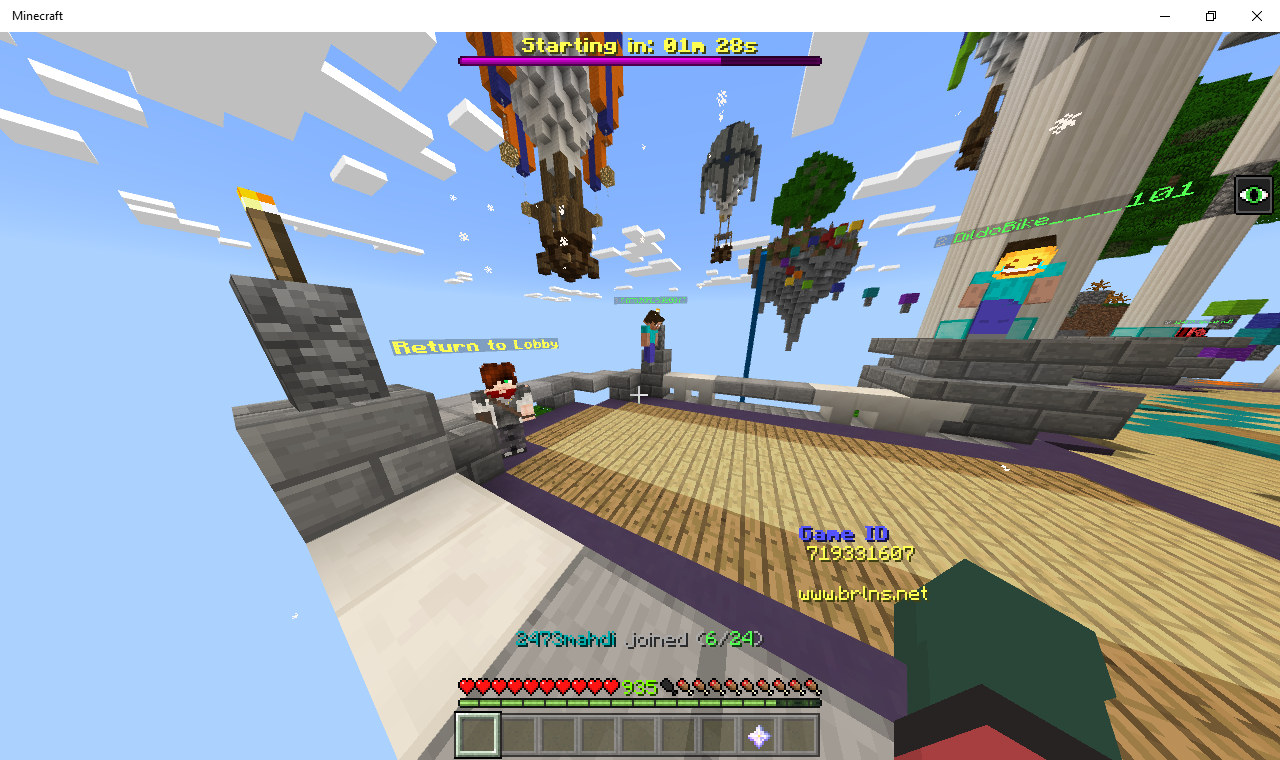 Minecraft 1_2_2019 1_43_15 AM.png