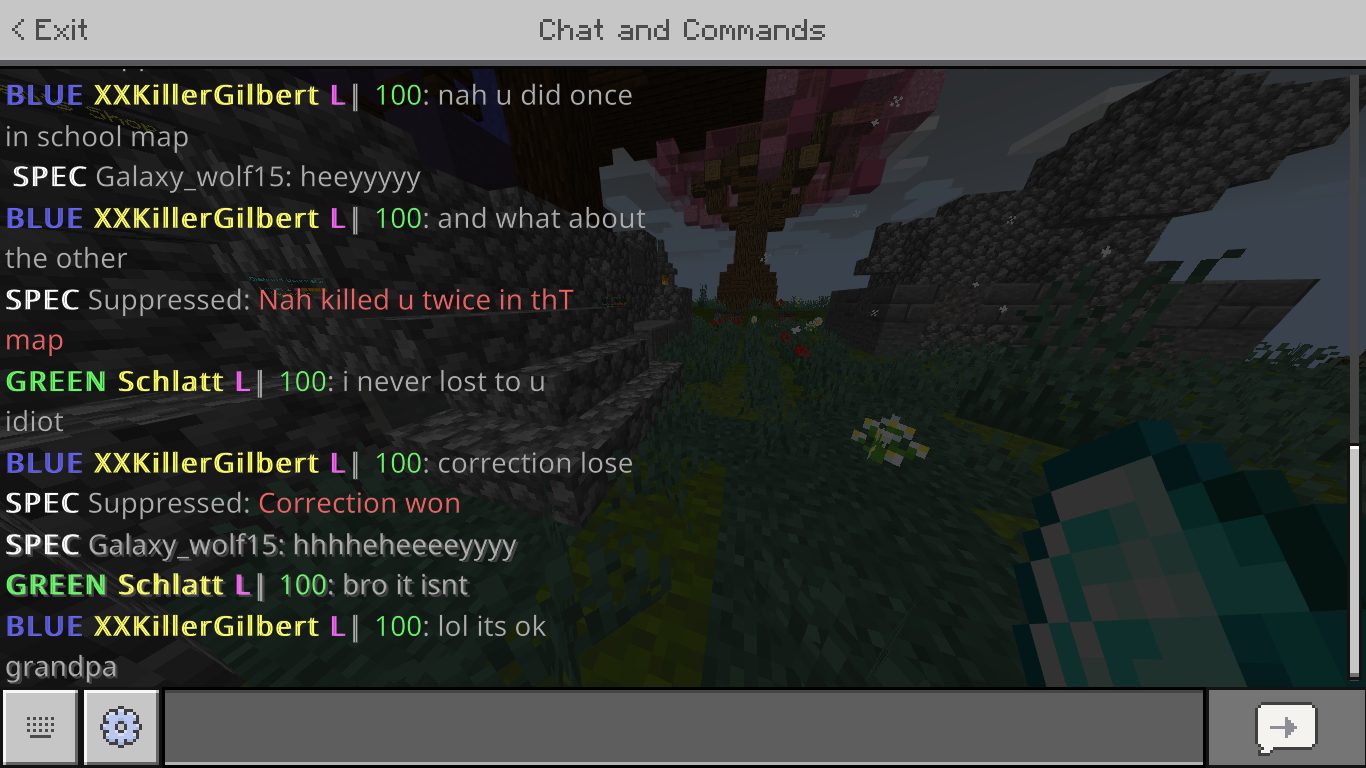 Minecraft 1_2_2021 9_37_16 PM.png
