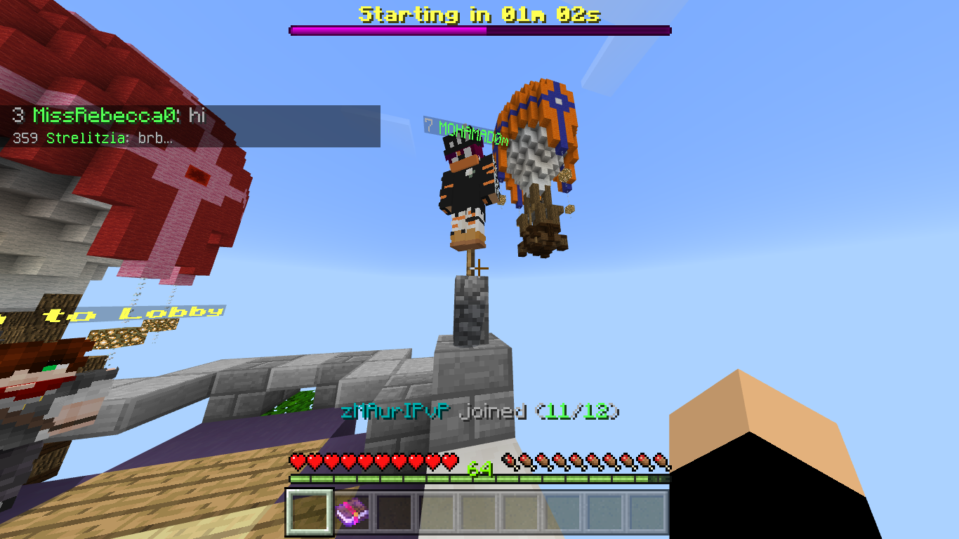 Minecraft 1_30_2018 6_40_20 PM.png