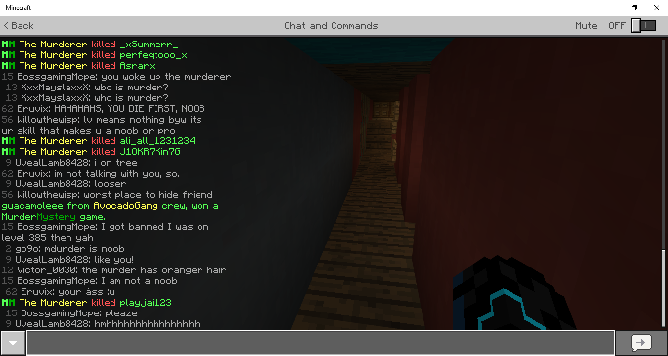 Minecraft 1_31_2019 10_39_32 PM.png