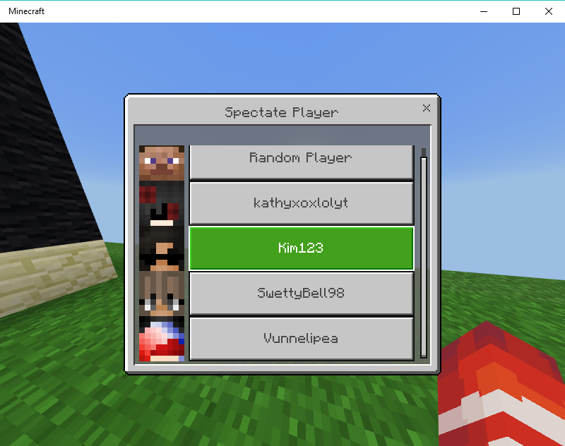Minecraft 1_5_2018 2_27_45 PM.png