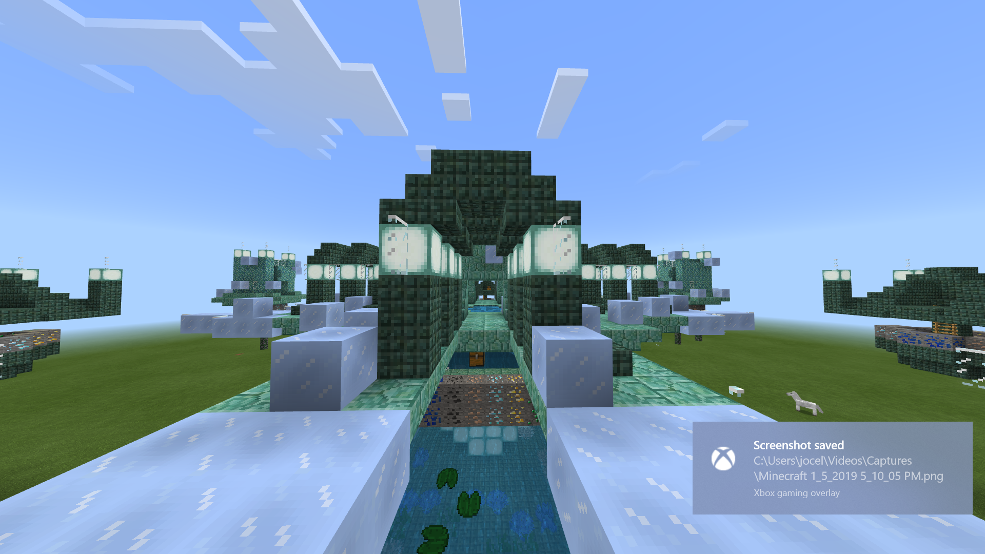 Minecraft 1_5_2019 5_10_16 PM.png