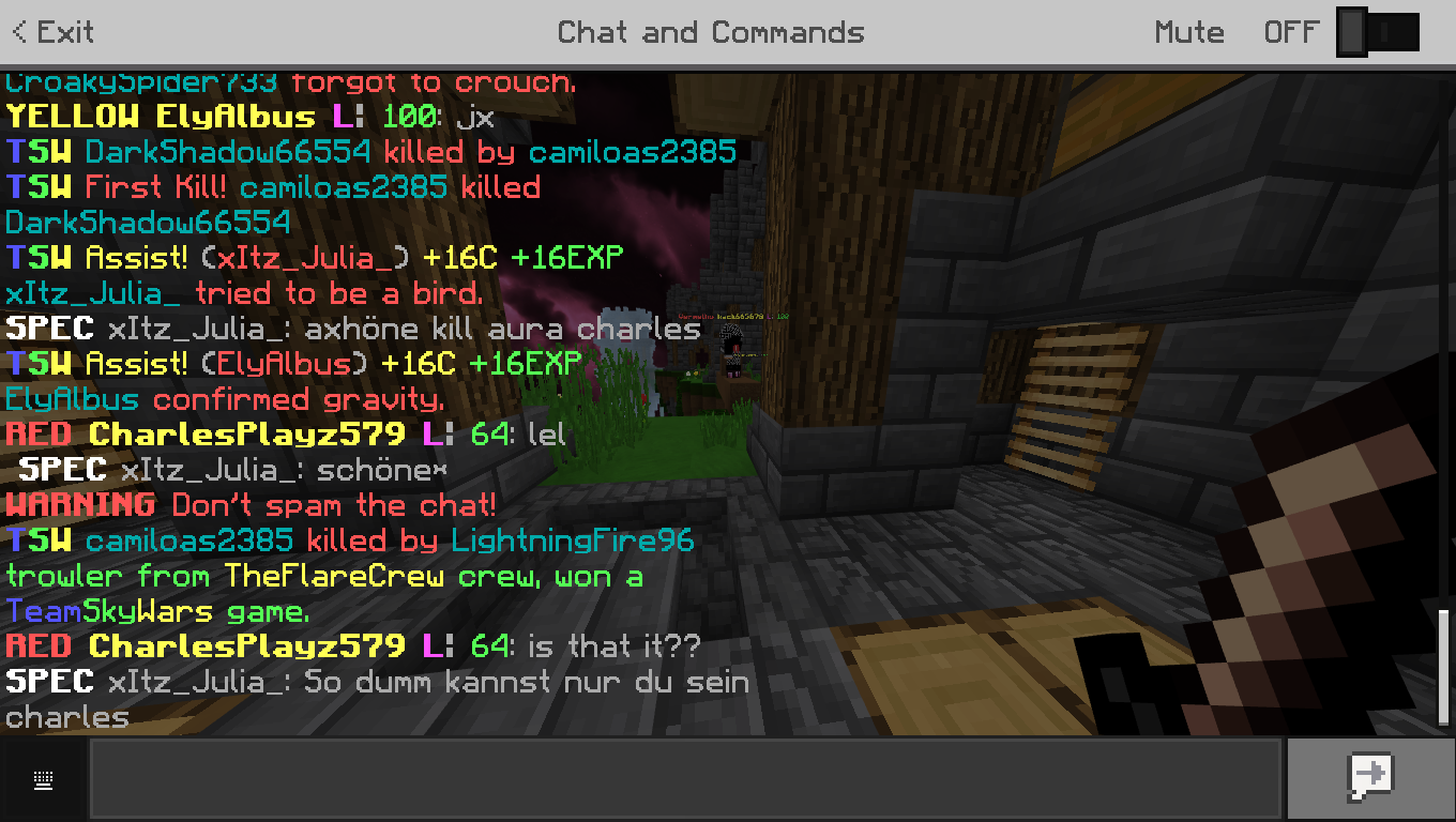 Minecraft 1_5_2019 5_36_43 PM.png