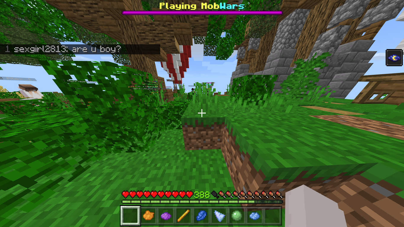 Minecraft 1_9_2021 10_30_55 PM.png