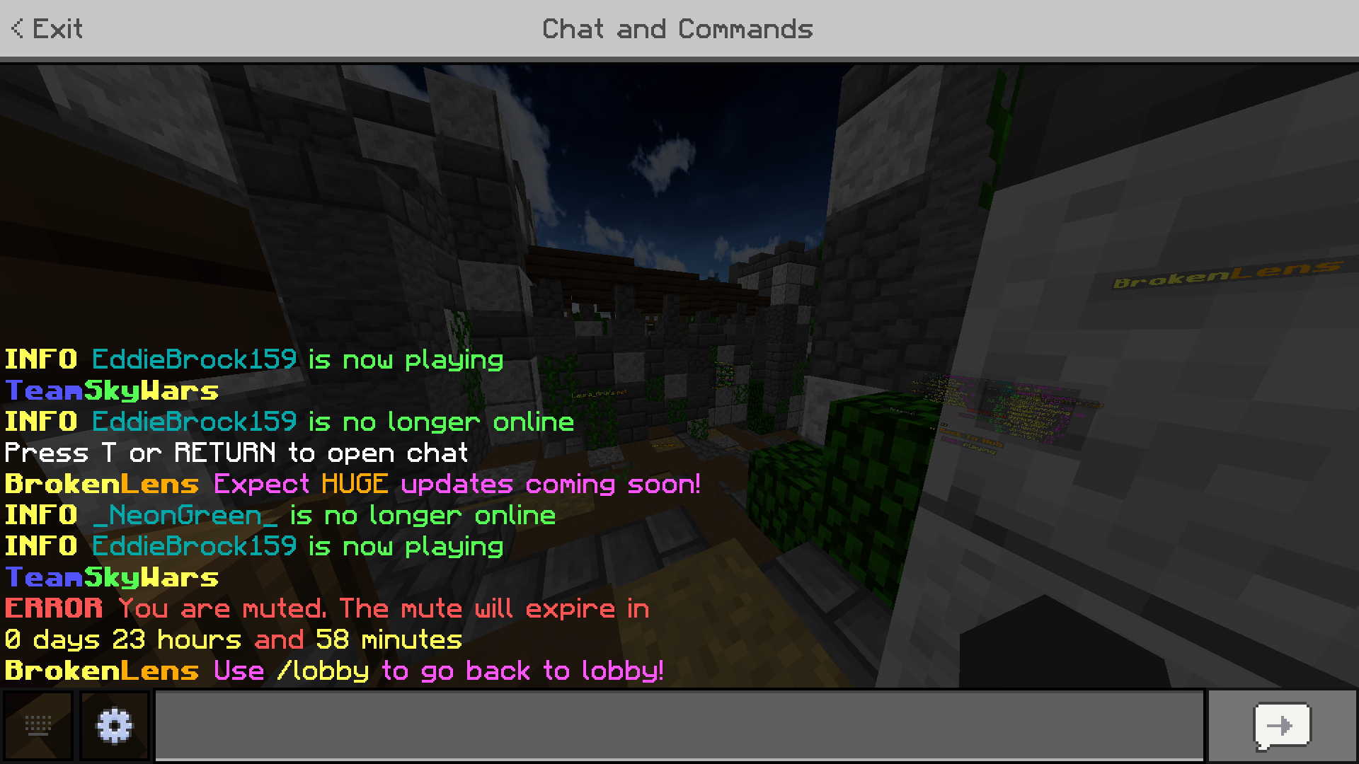 Minecraft 1_9_2021 3_47_25 PM.png