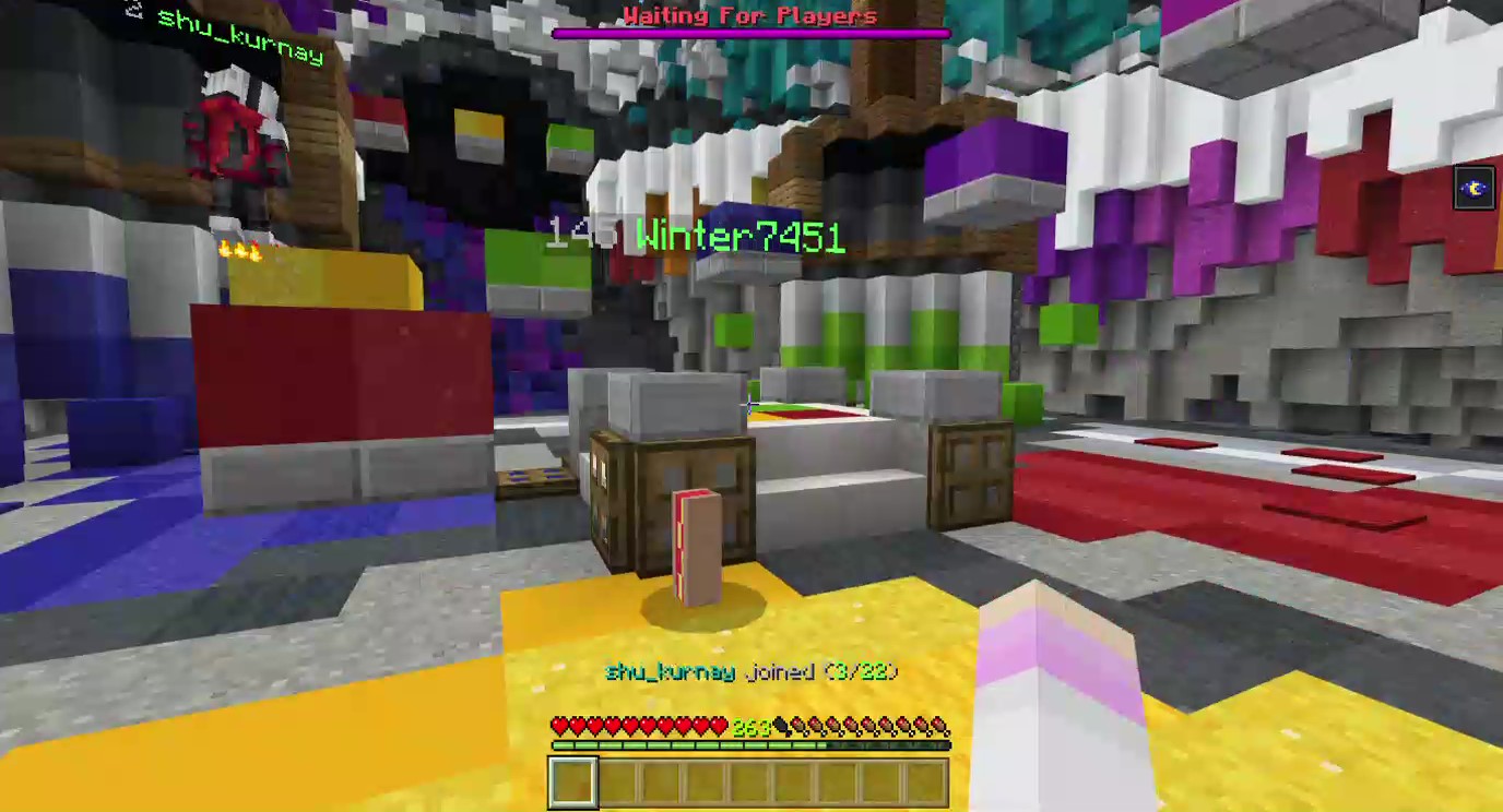 Minecraft 2019-12-30 18-12-41_Moment.jpg