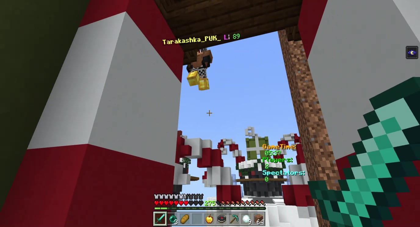 Minecraft 2020-01-27 13-58-17_Moment(2).jpg