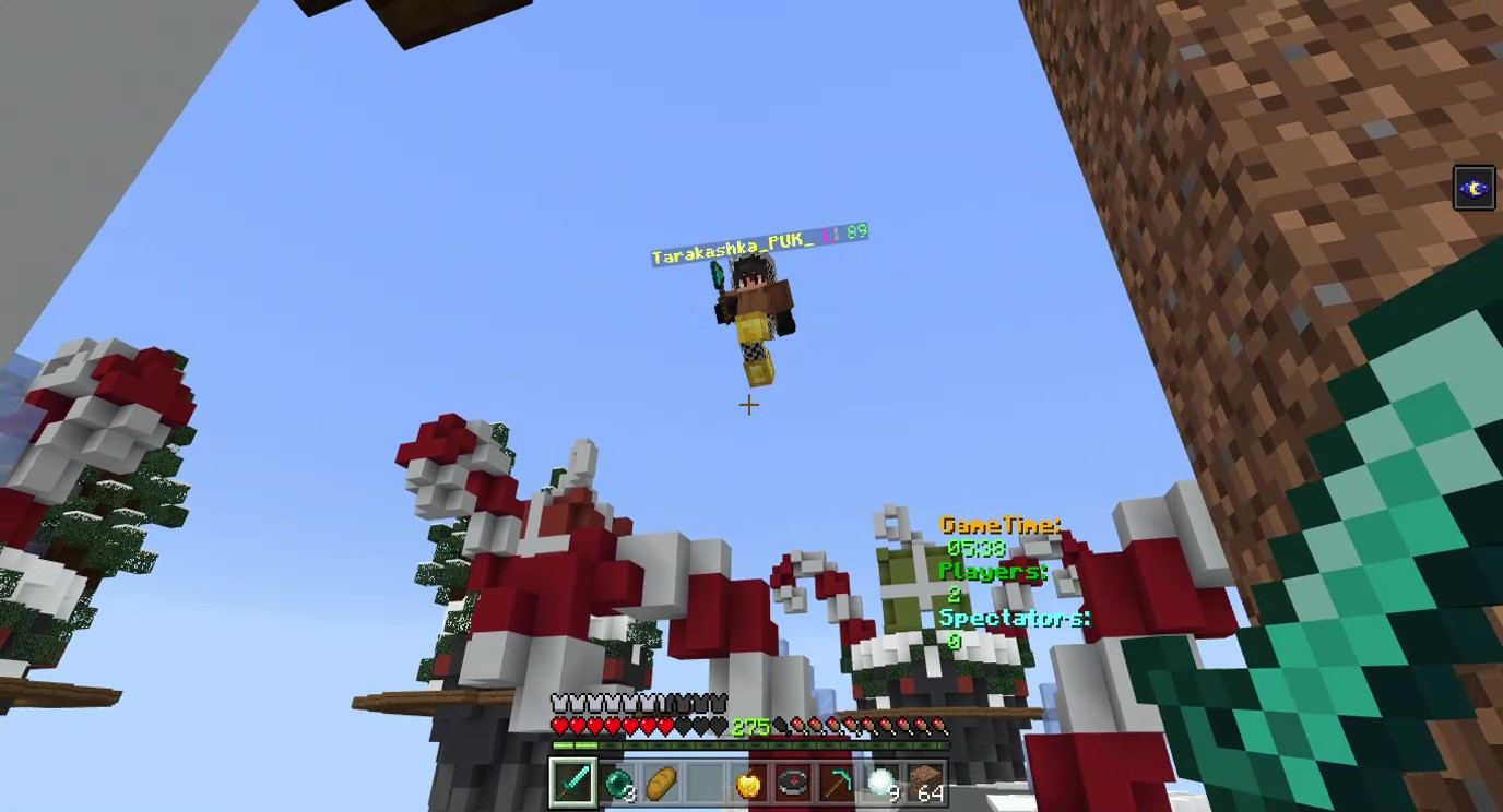 Minecraft 2020-01-27 13-58-17_Moment.jpg