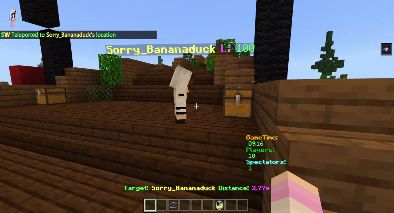 Minecraft 2020-03-11 20-32-32_Moment.jpg