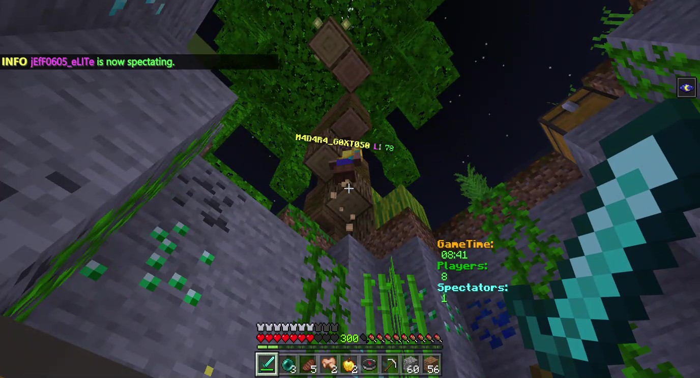 Minecraft 2020-03-24 17-03-51_Moment.jpg