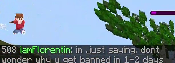 Minecraft 2020-07-15 11-27-10_Moment(3).jpg