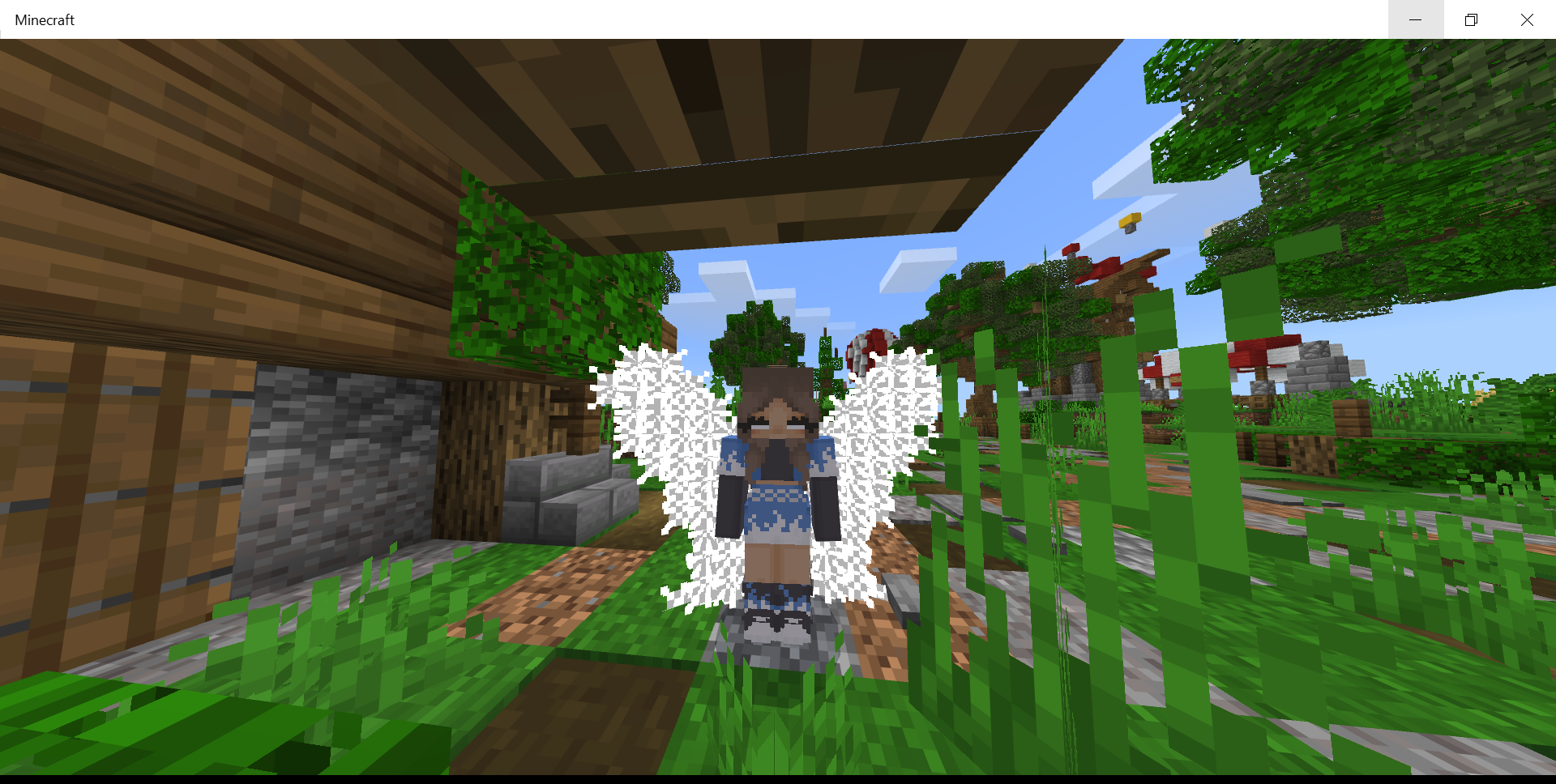 Minecraft 20_06_2020 5_27_01 PM.png