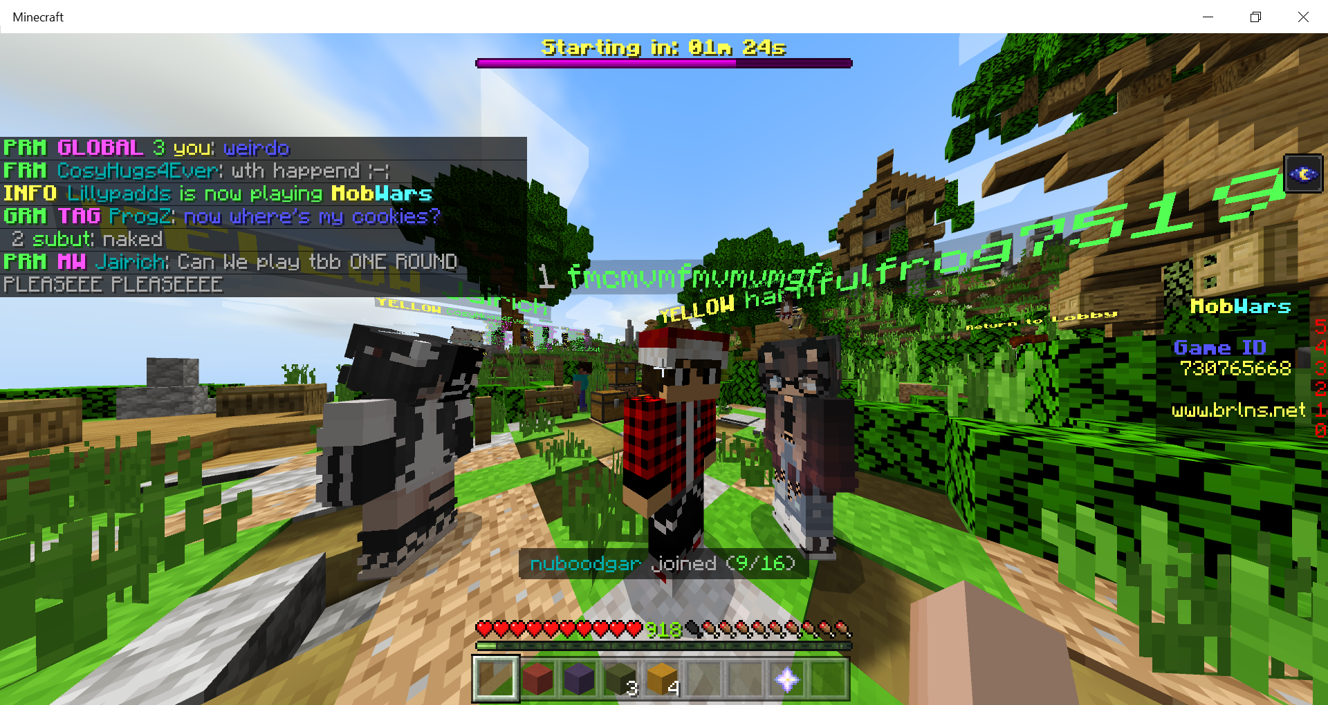 Minecraft 20_07_2020 5_40_30 PM.png