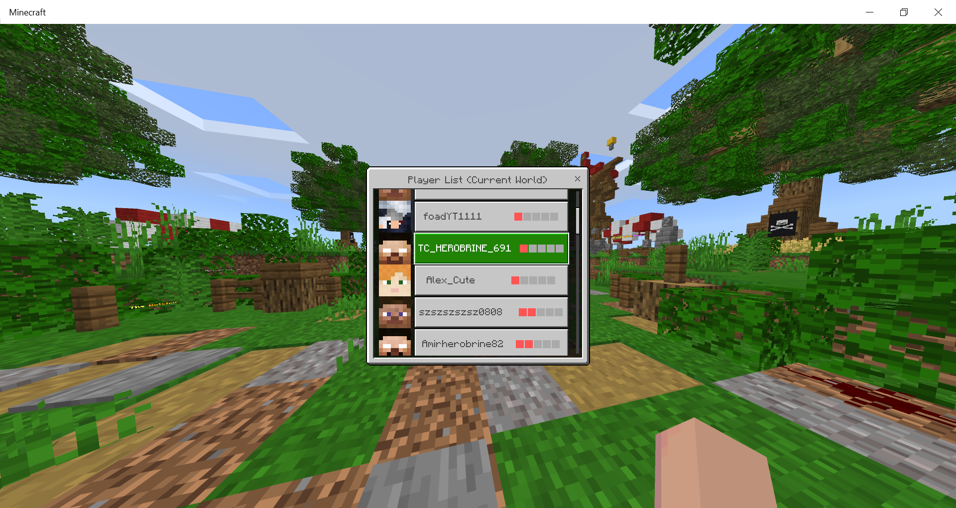 Minecraft 20_08_2020 10_44_56 PM.png