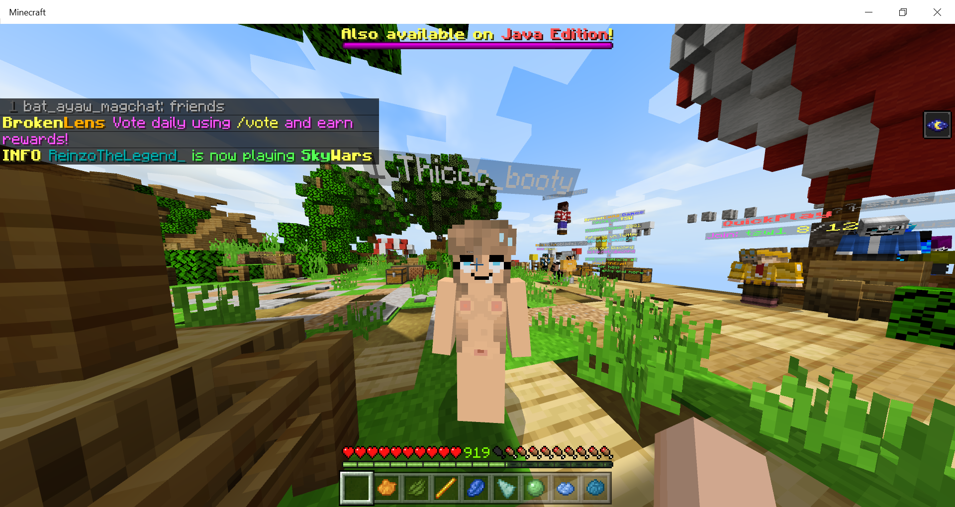 Minecraft 21_07_2020 10_24_54 PM.png