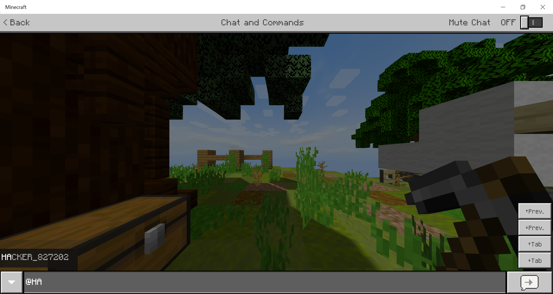 Minecraft 21_07_2020 8_26_36 PM.png