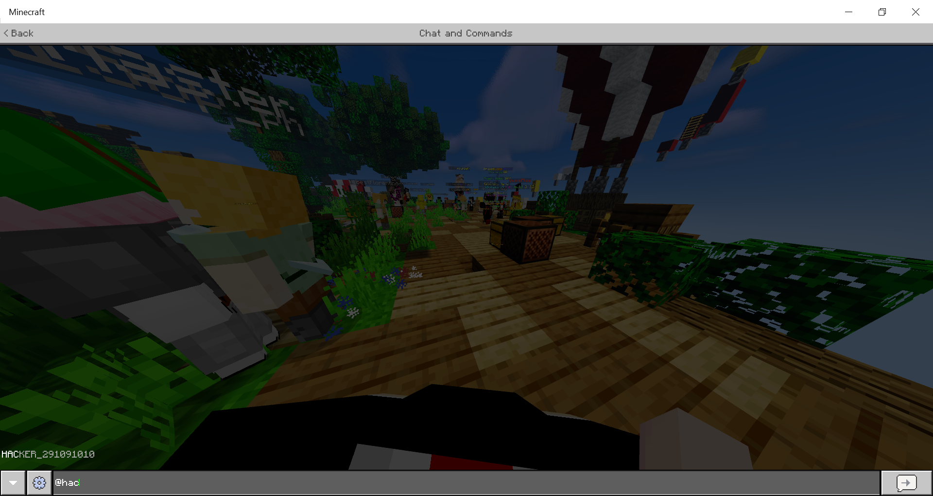 Minecraft 22_08_2020 9_10_49 PM.png