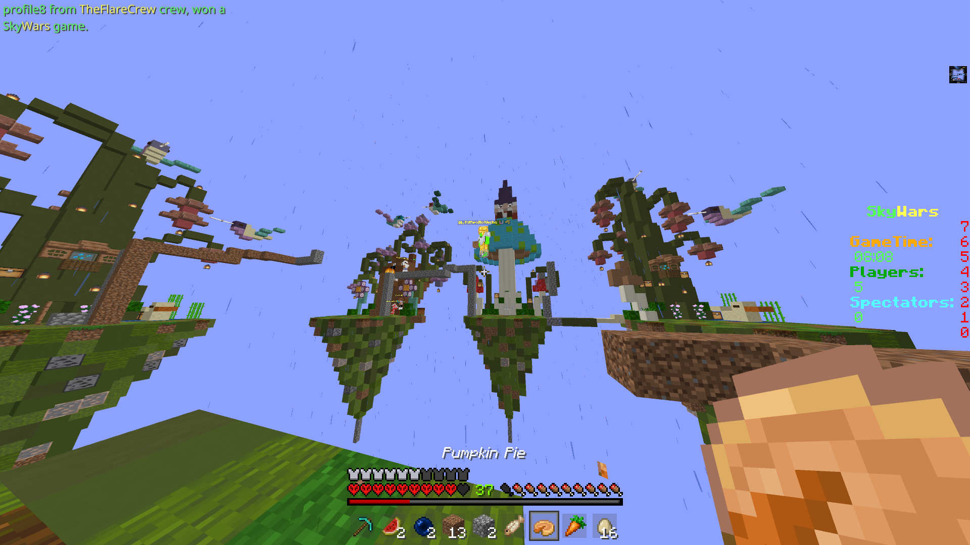 Minecraft 24.08.2020 18_20_08.png