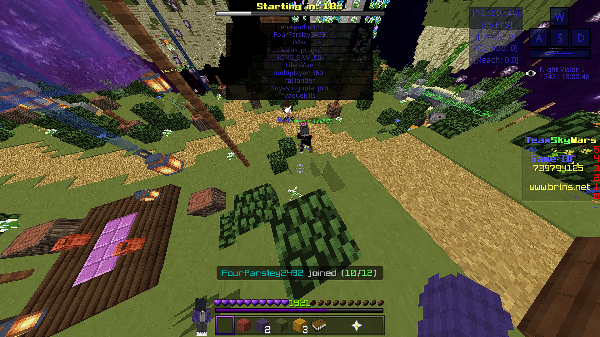 Minecraft 26_01_2022 12_50_45.png
