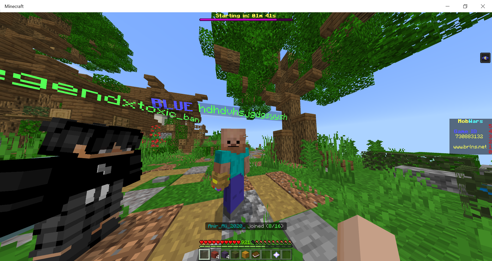 Minecraft 26_07_2020 8_35_01 PM.png
