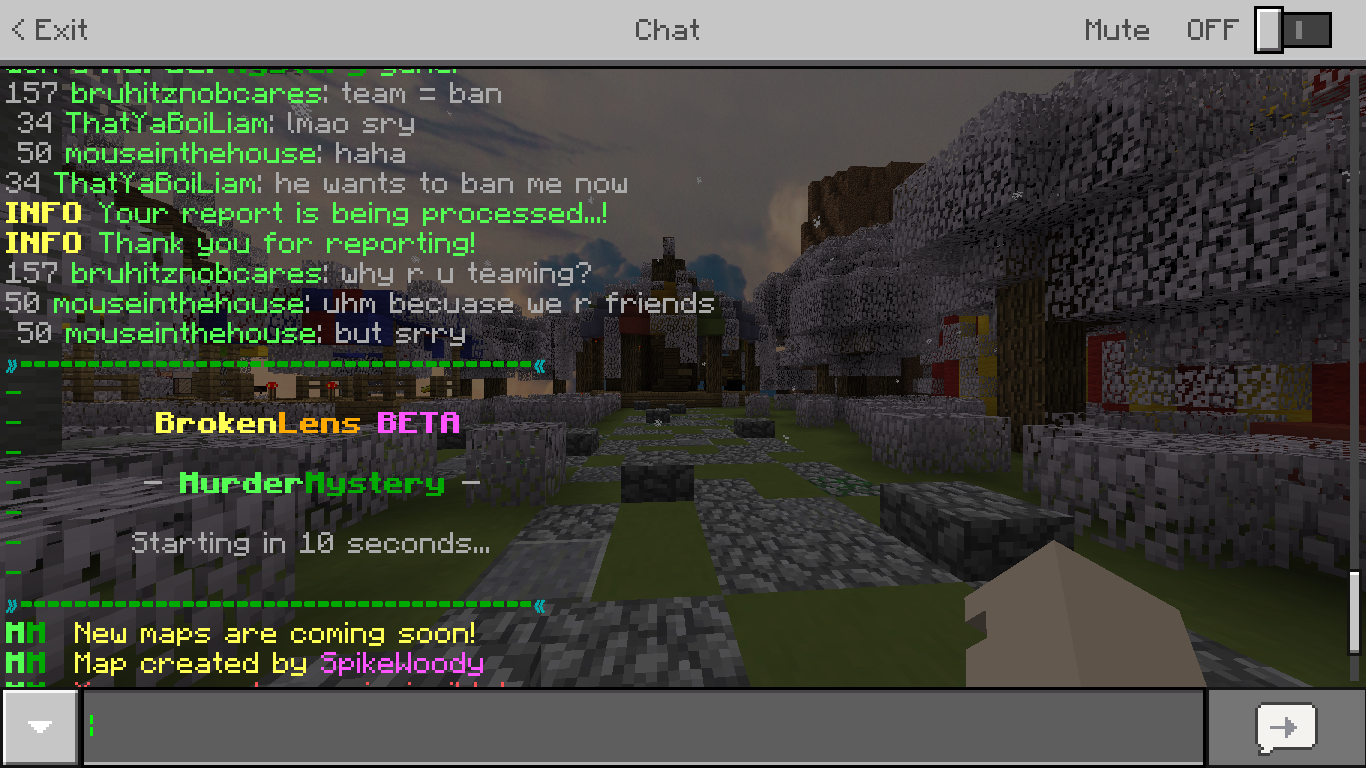Minecraft 28_12_2017 12_08_50.png