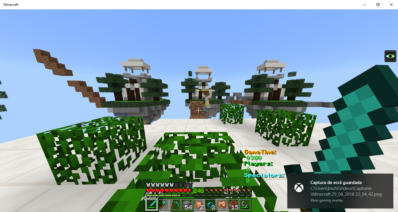 Minecraft 29_06_2018 22_04_48.png
