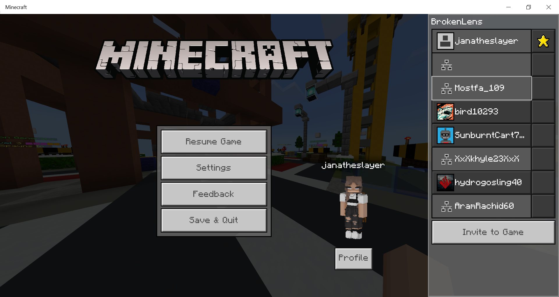 Minecraft 29_06_2020 8_45_00 PM.png