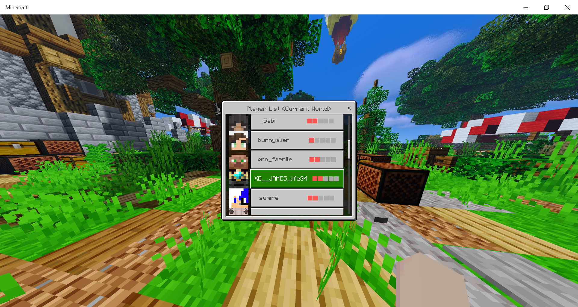 Minecraft 29_08_2020 8_01_43 PM.png