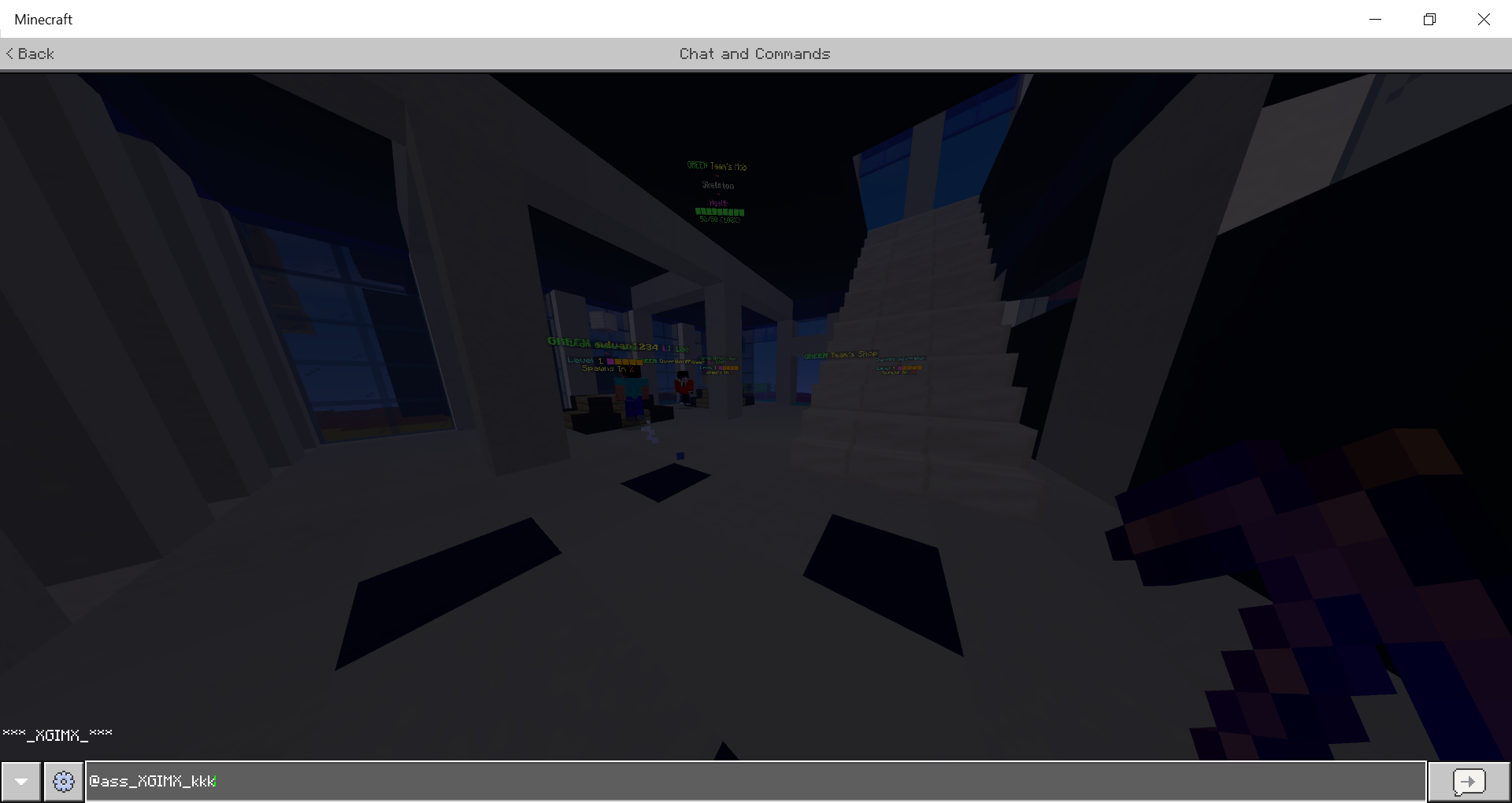 Minecraft 2_08_2020 7_10_08 PM.png