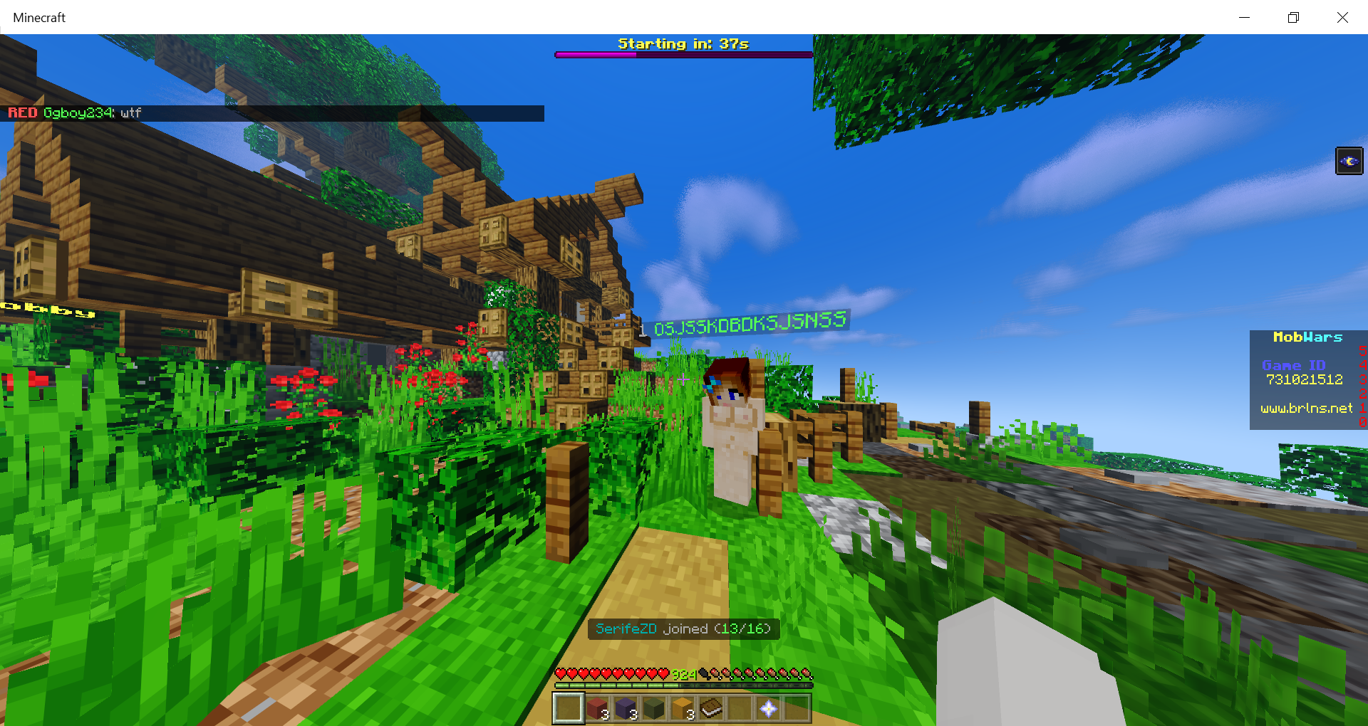 Minecraft 2_08_2020 7_26_11 PM.png