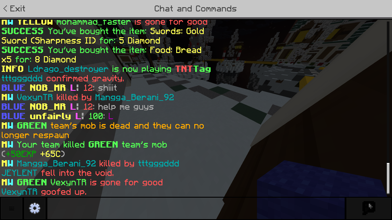 Minecraft 2_10_2021 10_36_45 PM.png