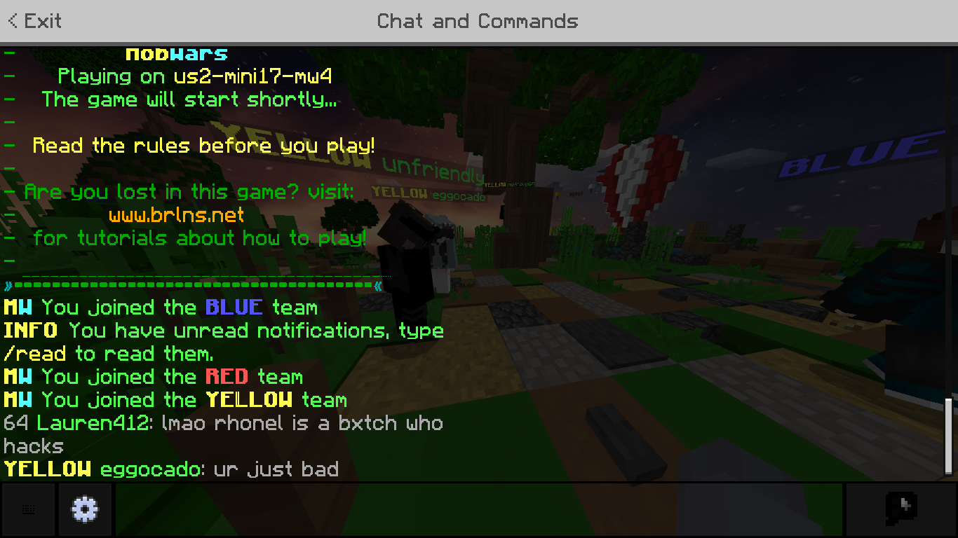 Minecraft 2_11_2021 12_19_10 PM.png