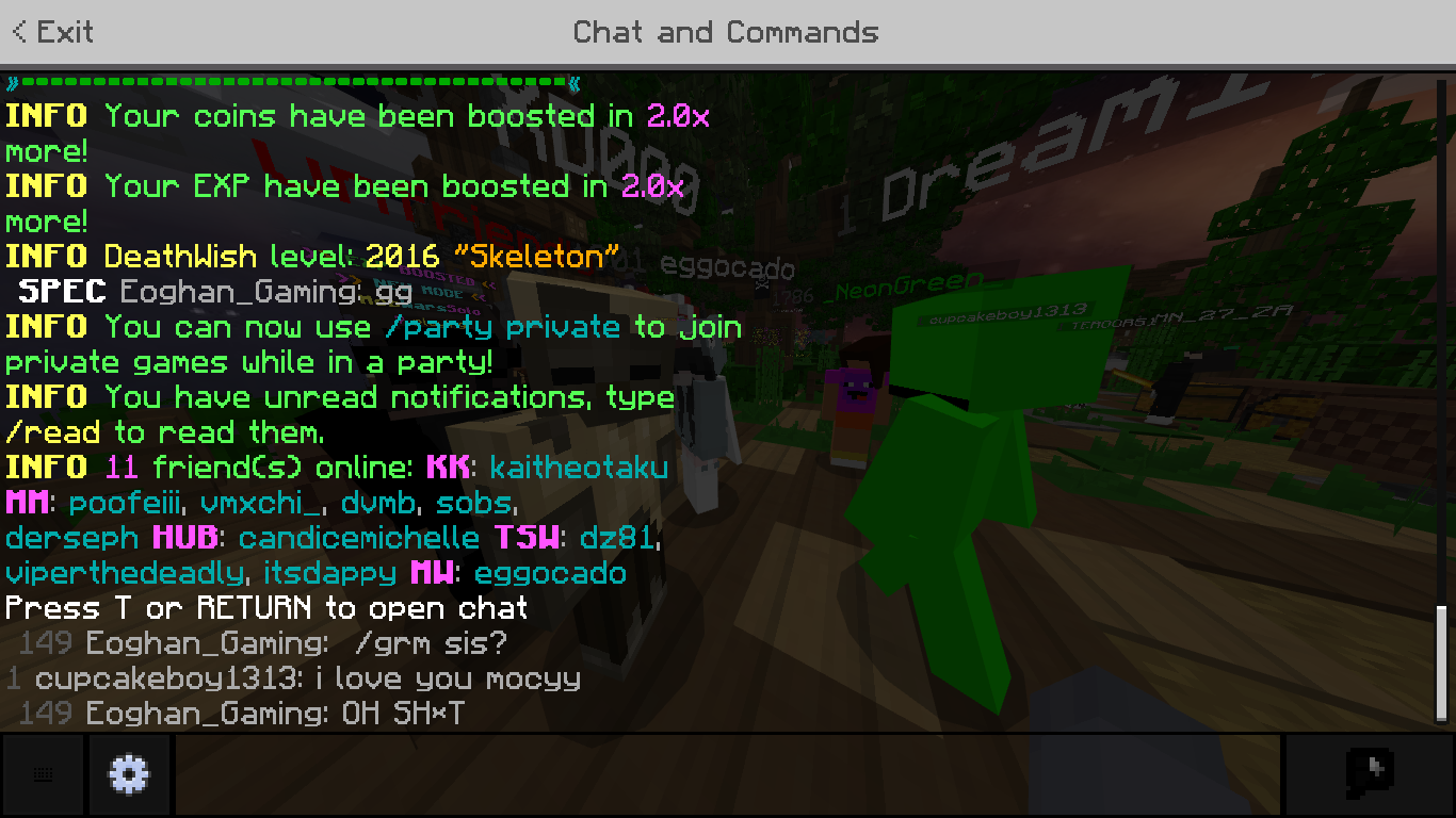 Minecraft 2_11_2021 2_22_20 PM.png