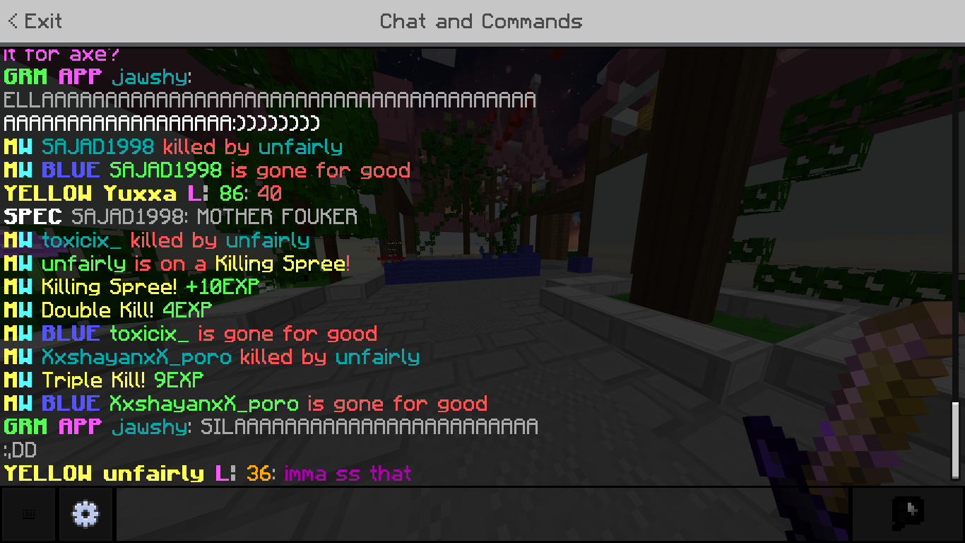 Minecraft 2_12_2021 11_41_13 PM.png