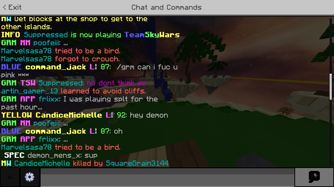 Minecraft 2_13_2021 5_52_00 PM.png