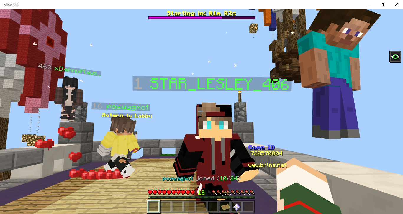 Minecraft 2_18_2019 10_35_31 PM.png