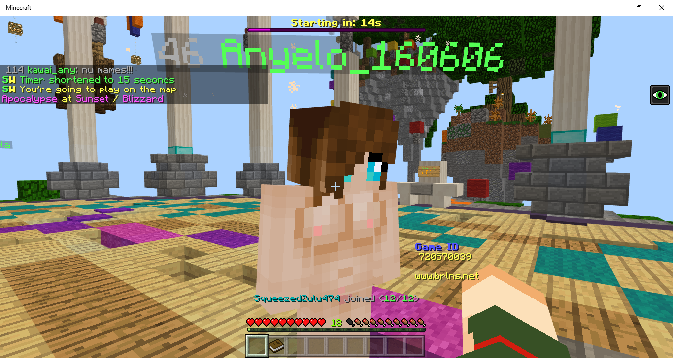 Minecraft 2_18_2019 10_41_45 PM.png