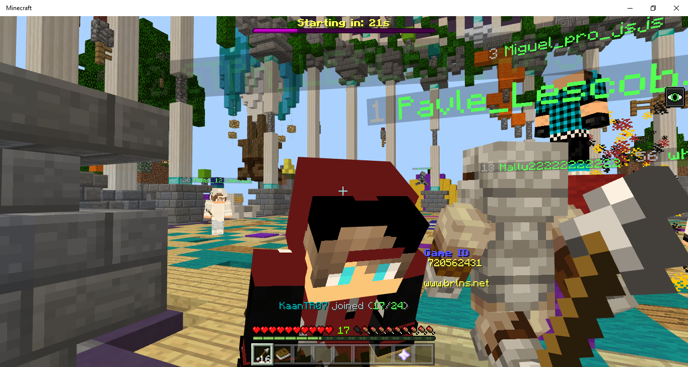 Minecraft 2_18_2019 2_26_41 PM.png