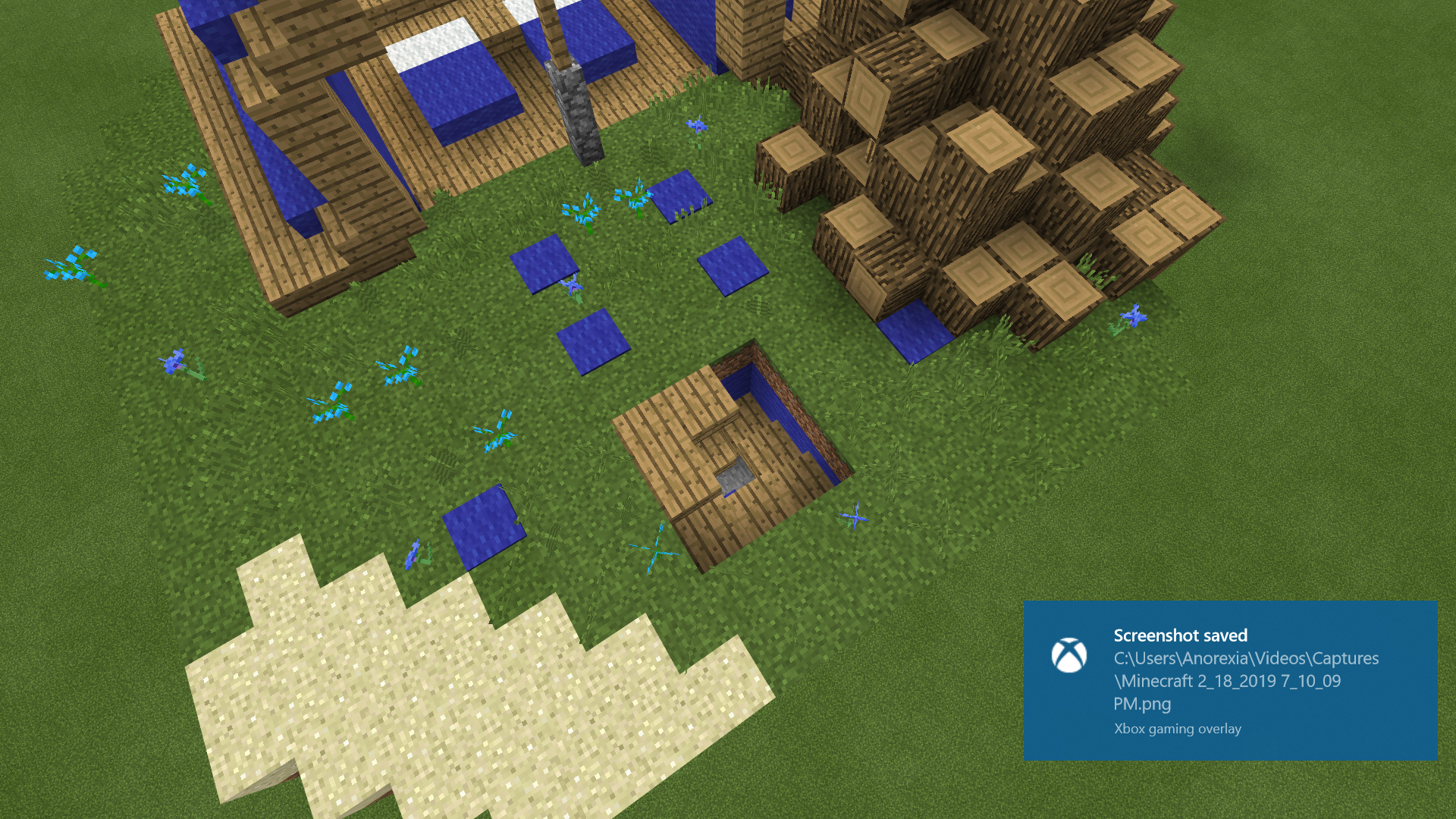Minecraft 2_18_2019 7_10_19 PM.png