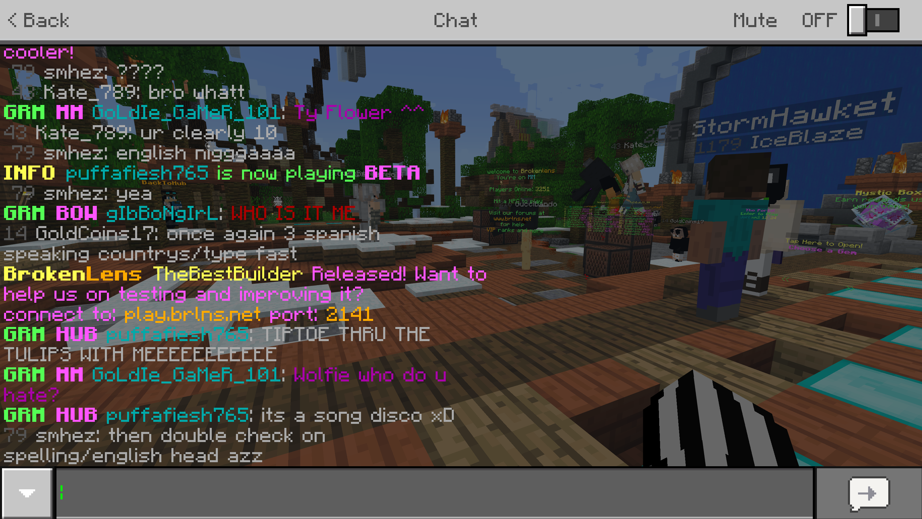 Minecraft 2_21_2018 10_17_00 PM.png