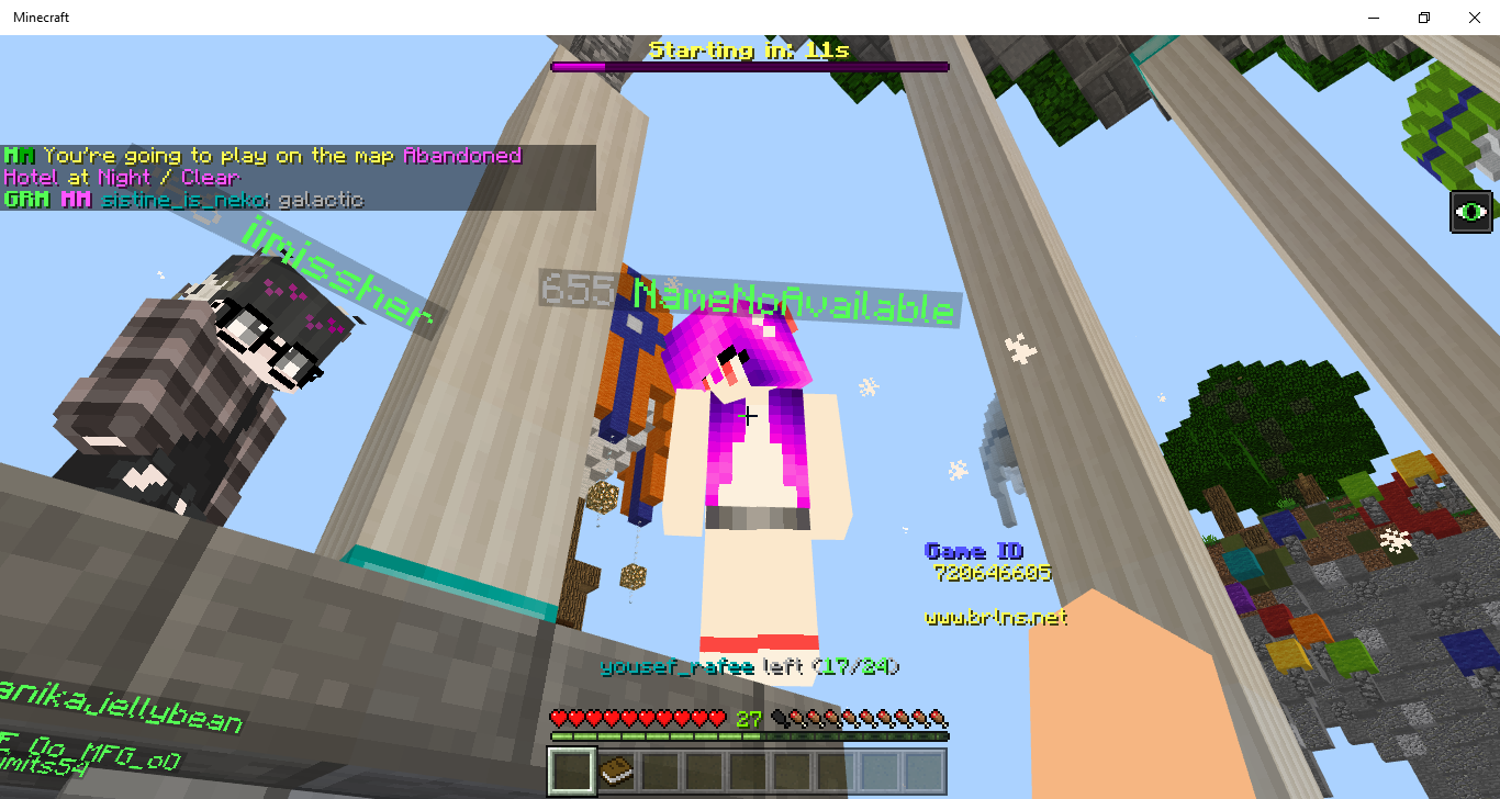 Minecraft 2_22_2019 4_44_45 PM.png