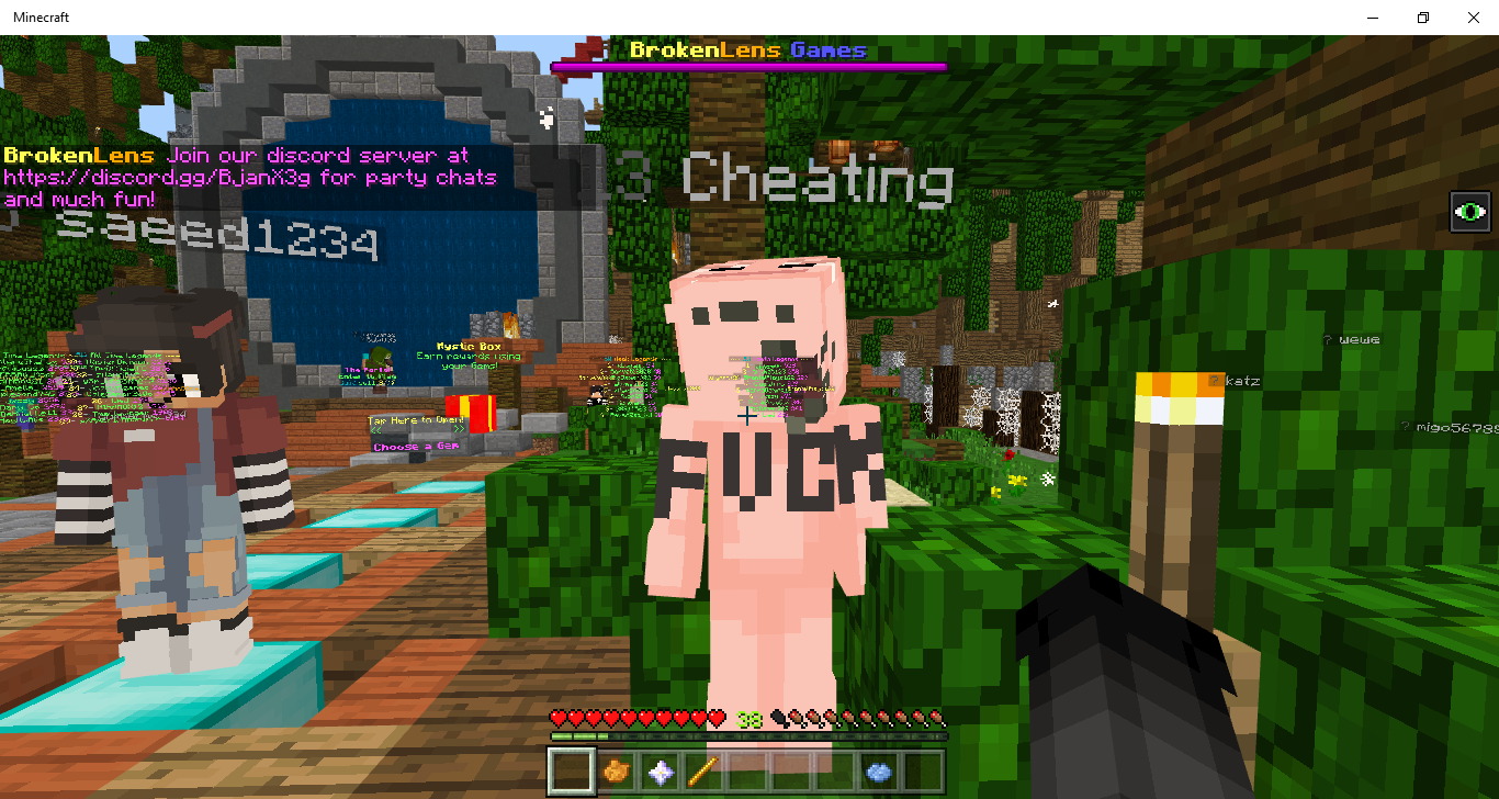 Minecraft 2_26_2019 12_45_56 PM.png
