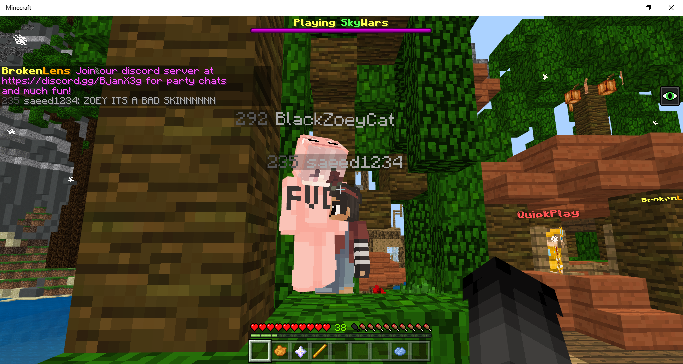 Minecraft 2_26_2019 12_46_01 PM.png