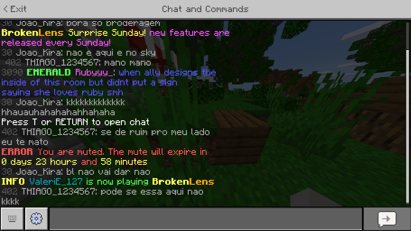 Minecraft 2_6_2021 12_00_30 PM.png