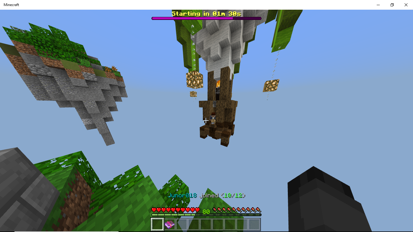 Minecraft 2_8_2018 6_16_01 AM.png