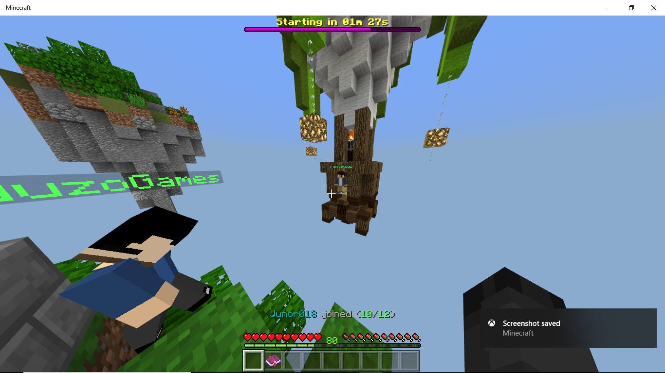 Minecraft 2_8_2018 6_16_03 AM.png