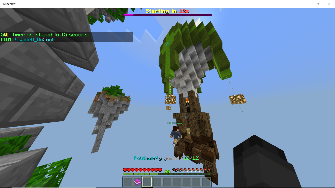 Minecraft 2_8_2018 6_16_22 AM.png