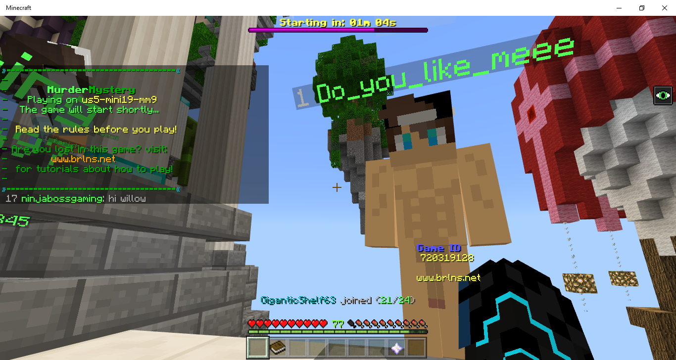 Minecraft 2_8_2019 11_54_18 PM.png