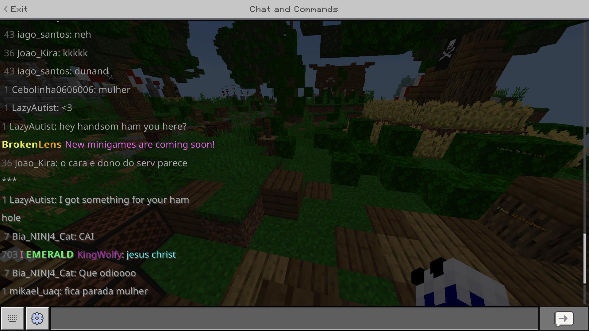 Minecraft 3_22_2021 4_13_53 PM.png
