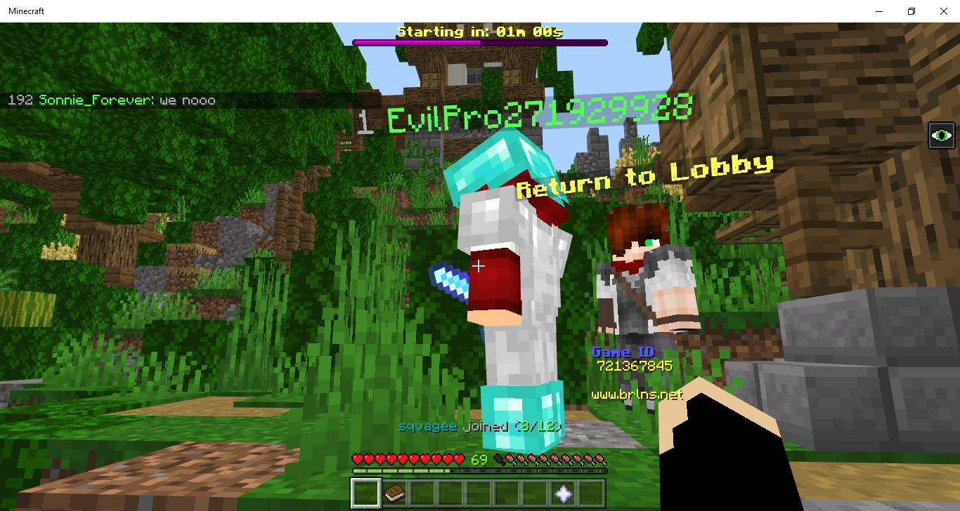Minecraft 3_27_2019 11_50_38 PM.png